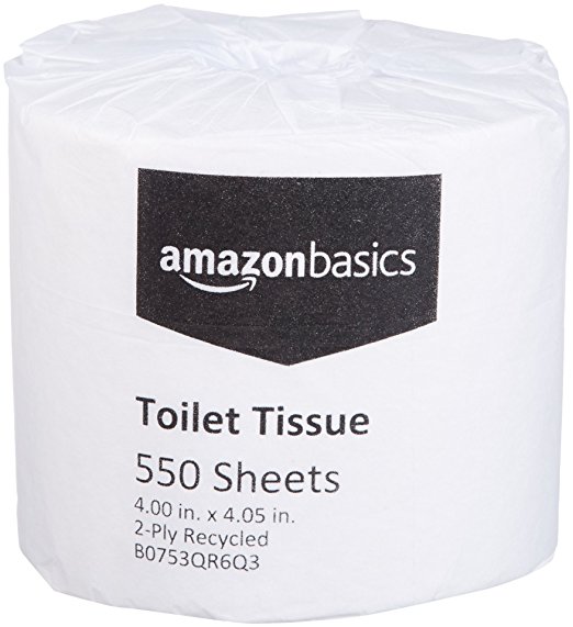 AmazonBasics Professional Economy Toilet Tissue for Businesses, 2-Ply, 550 Sheets per Roll, 80 Rolls