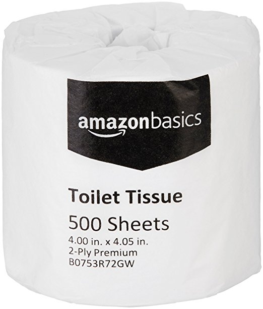 AmazonBasics Professional Value Toilet Tissue for Businesses, 2-Ply, 500 Sheets per Roll, 80 Rolls